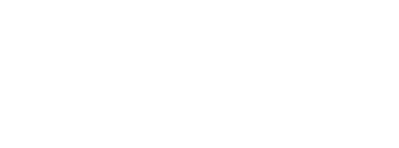 Fepic